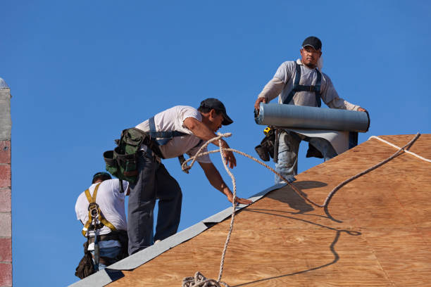Best Residential Roofing Contractor  in Breckenridge, MN