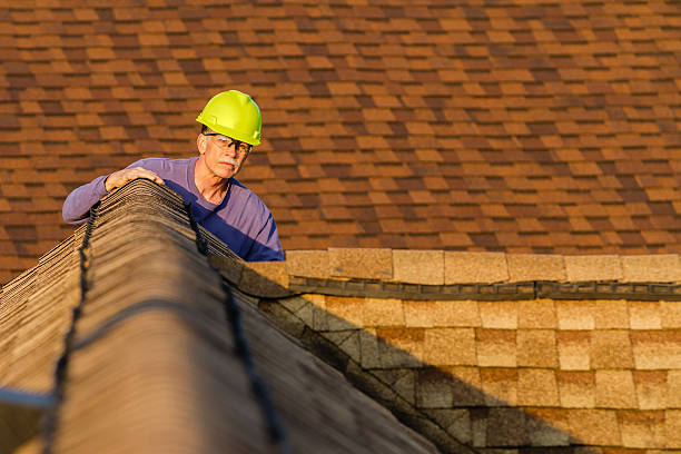 Best Roof Gutter Cleaning  in Breckenridge, MN