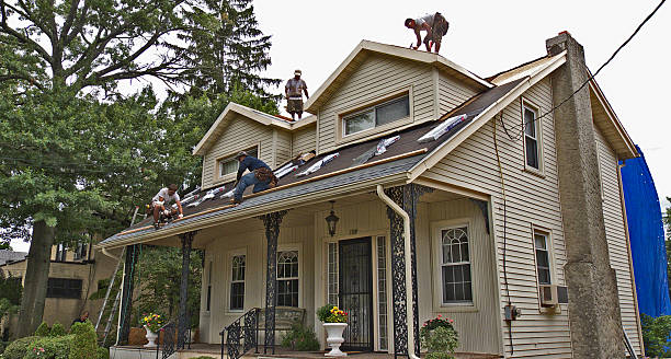 Best Roof Repair Services  in Breckenridge, MN