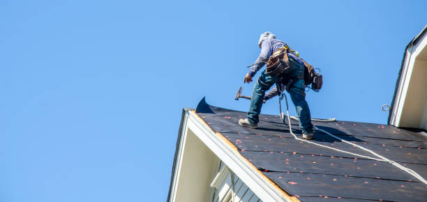 Roof Gutter Cleaning in Breckenridge, MN